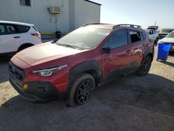 Salvage cars for sale at Tucson, AZ auction: 2024 Subaru Crosstrek Wilderness