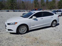 Salvage cars for sale from Copart Gainesville, GA: 2014 Ford Fusion SE Hybrid