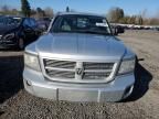 2010 Dodge Dakota SXT