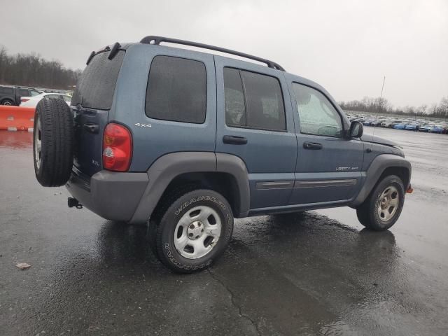 2002 Jeep Liberty Sport