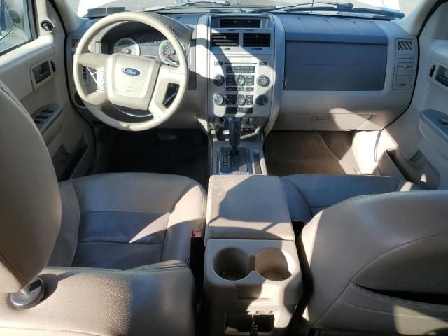 2008 Ford Escape XLT