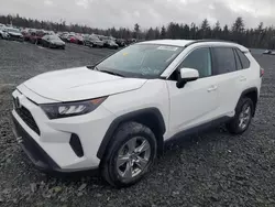 Salvage cars for sale from Copart Elmsdale, NS: 2022 Toyota Rav4 LE