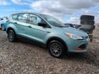 2013 Ford Escape S