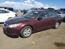 Salvage cars for sale at Brighton, CO auction: 2008 Honda Accord LXP