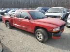 1998 Dodge Dakota