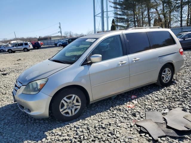 2005 Honda Odyssey EXL