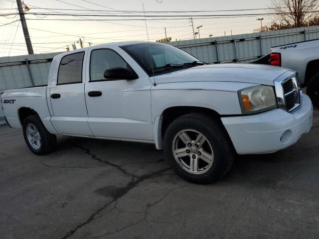 2007 Dodge Dakota Quattro