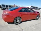 2008 Toyota Camry Hybrid