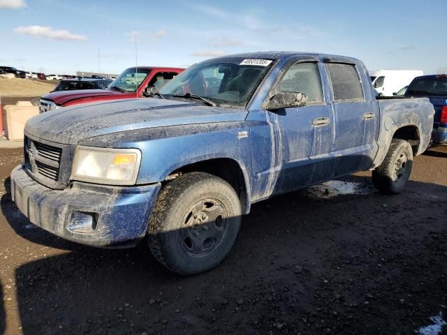 2011 Dodge Dakota SLT