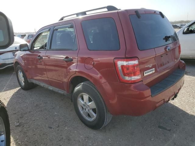 2009 Ford Escape XLT