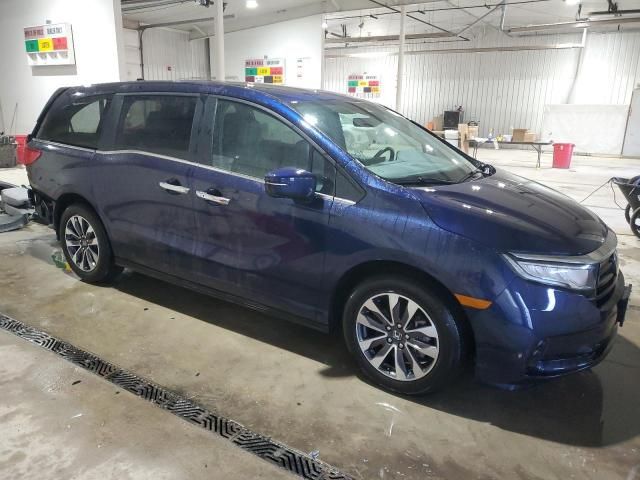 2023 Honda Odyssey EXL