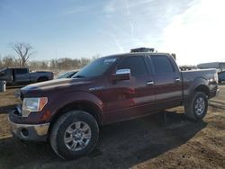 Salvage cars for sale at Des Moines, IA auction: 2010 Ford F150 Supercrew