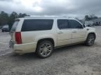 2010 Cadillac Escalade ESV Platinum