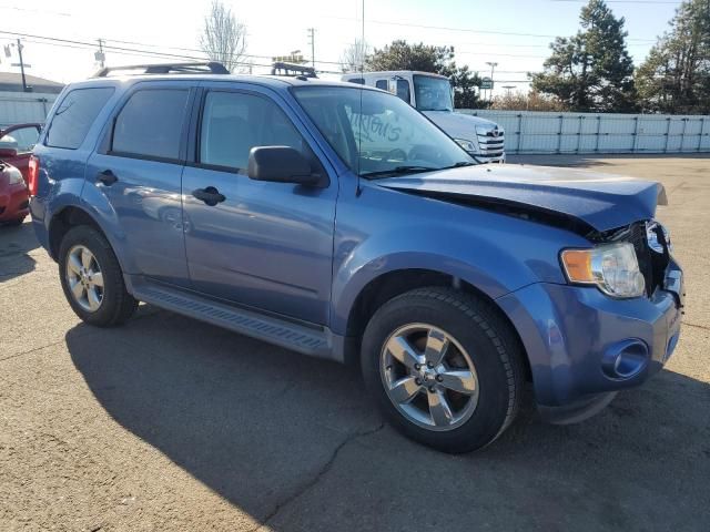 2009 Ford Escape XLT