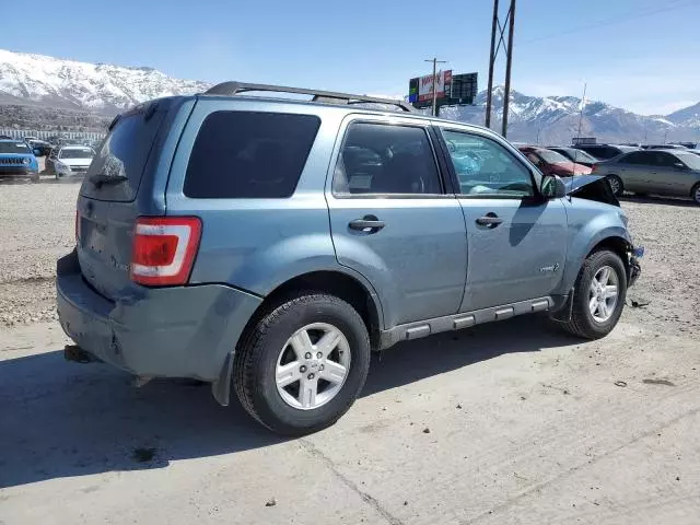 2010 Ford Escape Hybrid