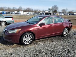 Salvage cars for sale at Hillsborough, NJ auction: 2011 Honda Accord EX