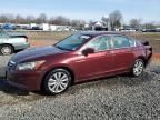 2011 Honda Accord EX