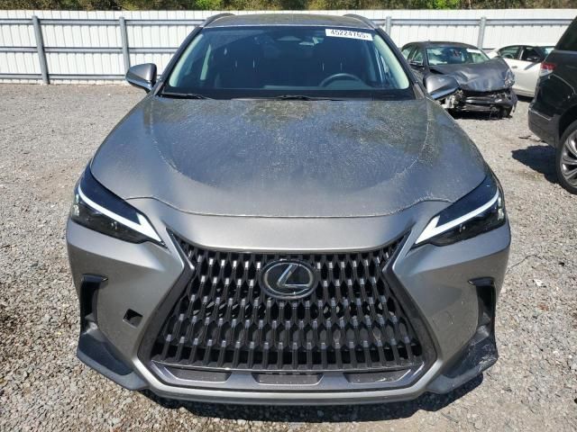 2022 Lexus NX 250