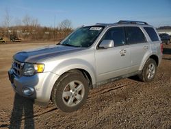 2011 Ford Escape Limited en venta en Columbia Station, OH