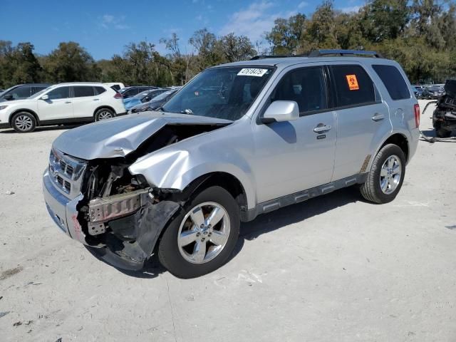 2010 Ford Escape Limited