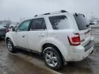 2010 Ford Escape Limited