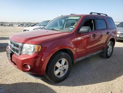 Salvage cars for sale at San Antonio, TX auction: 2009 Ford Escape XLT