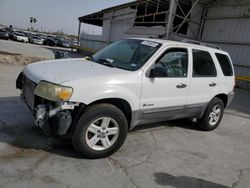 Salvage cars for sale at Corpus Christi, TX auction: 2007 Ford Escape HEV