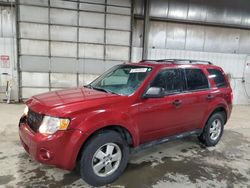 Ford salvage cars for sale: 2012 Ford Escape XLT