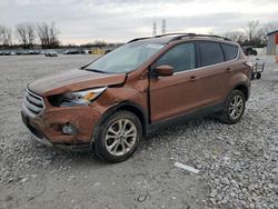 Salvage cars for sale at Barberton, OH auction: 2017 Ford Escape SE