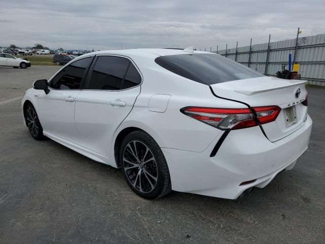 2019 Toyota Camry Hybrid