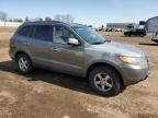 2007 Hyundai Santa FE GLS