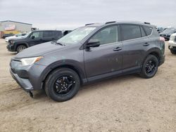 Salvage cars for sale at Amarillo, TX auction: 2017 Toyota Rav4 LE