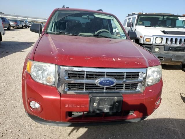 2009 Ford Escape XLT