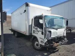 Salvage trucks for sale at Marlboro, NY auction: 2010 Isuzu NQR BOX Truck