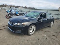 Salvage cars for sale at Pennsburg, PA auction: 2015 Honda Accord EXL