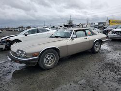 Jaguar salvage cars for sale: 1989 Jaguar XJS