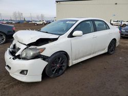 Salvage cars for sale at Rocky View County, AB auction: 2009 Toyota Corolla Base