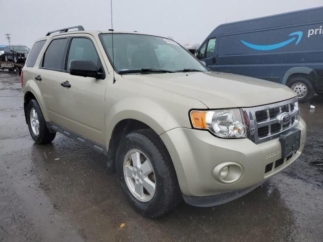 2012 Ford Escape XLT