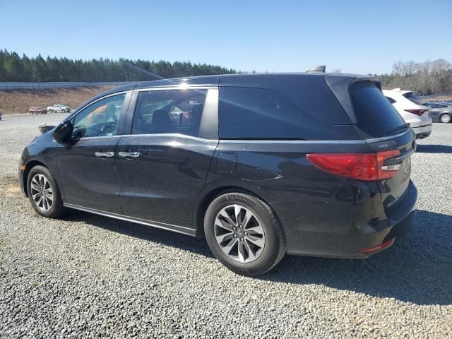 2021 Honda Odyssey EXL