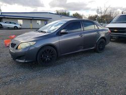 Salvage cars for sale at Sacramento, CA auction: 2009 Toyota Corolla Base