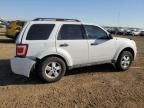 2009 Ford Escape XLS