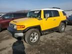 2007 Toyota FJ Cruiser