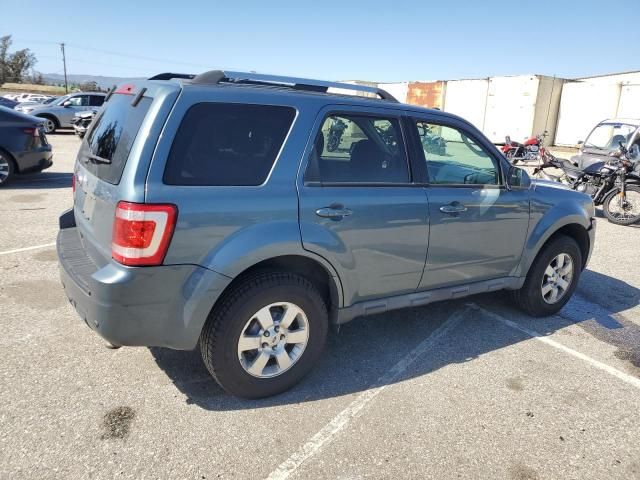 2011 Ford Escape Limited