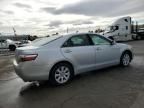 2007 Toyota Camry Hybrid