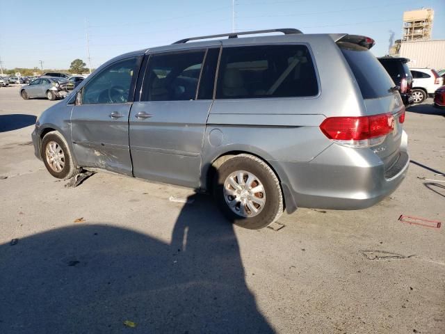 2008 Honda Odyssey EXL