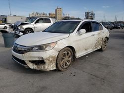 Salvage cars for sale at New Orleans, LA auction: 2016 Honda Accord EXL