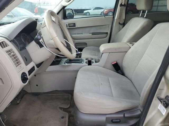 2010 Ford Escape XLT