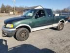 2002 Ford F150