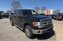 Salvage trucks for sale at Kansas City, KS auction: 2013 Ford F150 Supercrew