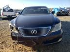 2007 Lexus LS 460